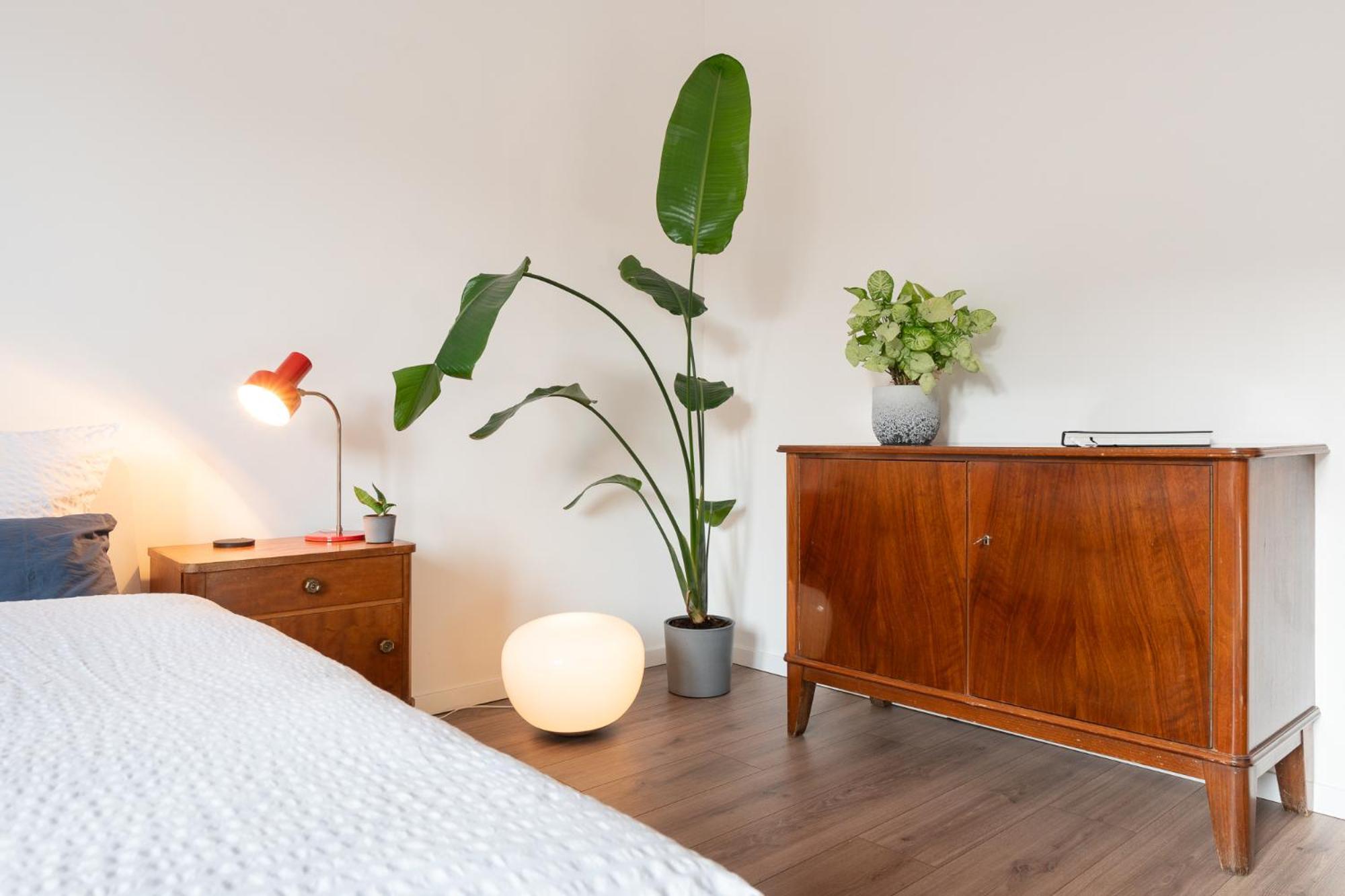 Luxurioeses Apartment, 10Min Innenstadt, Parkplatz Erfurt Exteriér fotografie